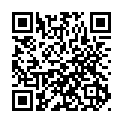To view this 2015 TOYOTA COROLLA Des Moines IA from Aztec Motors | Bad Credit Auto Loan Specialists, please scan this QR code with your smartphone or tablet to view the mobile version of this page.