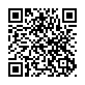 To view this 2009 CHEVROLET SILVERADO 1500 Des Moines IA from Aztec Motors | Bad Credit Auto Loan Specialists, please scan this QR code with your smartphone or tablet to view the mobile version of this page.