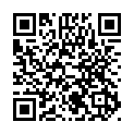 To view this 2015 CHEVROLET IMPALA Des Moines IA from Aztec Motors | Bad Credit Auto Loan Specialists, please scan this QR code with your smartphone or tablet to view the mobile version of this page.