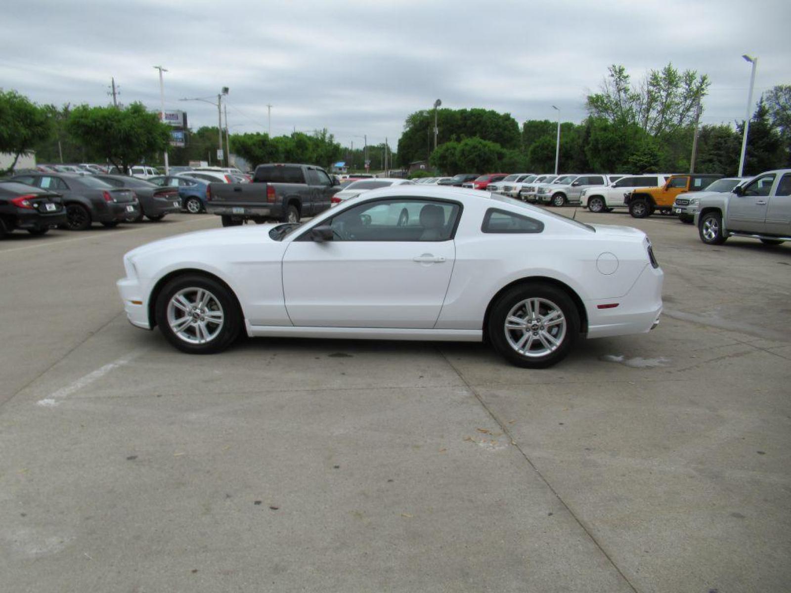 2014 WHITE FORD MUSTANG (1ZVBP8AM1E5) with an 3.7L engine, Automatic transmission, located at 908 SE 14th Street, Des Moines, IA, 50317, (515) 281-0330, 41.580303, -93.597046 - Photo #7