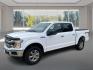 2019 WHITE FORD F150 SUPERCREW XLT (1FTEW1E47KK) with an 3.5L engine, Automatic transmission, located at 908 SE 14th Street, Des Moines, IA, 50317, (515) 281-0330, 41.580303, -93.597046 - Photo#7
