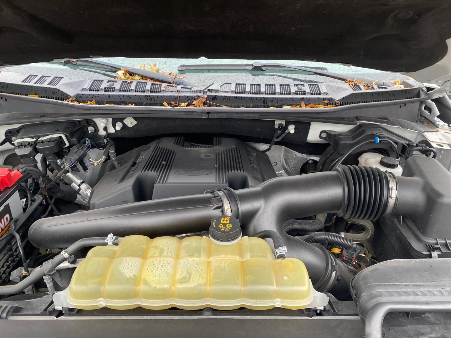 2019 WHITE FORD F150 SUPERCREW XLT (1FTEW1E47KK) with an 3.5L engine, Automatic transmission, located at 908 SE 14th Street, Des Moines, IA, 50317, (515) 281-0330, 41.580303, -93.597046 - Photo#10