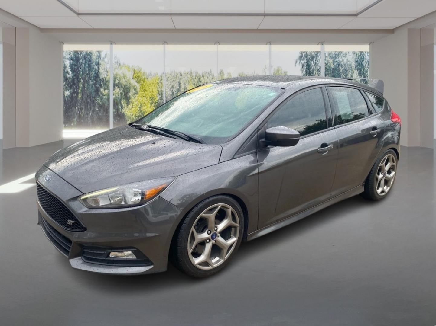 2016 GRAY FORD FOCUS ST (1FADP3L92GL) with an 2.0L engine, 6-Speed Manual transmission, located at 908 SE 14th Street, Des Moines, IA, 50317, (515) 281-0330, 41.580303, -93.597046- Photo#7