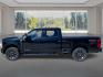 2023 BLACK FORD F250 SUPER DUTY (1FT7W2BT1PE) with an 6.7L engine, Automatic transmission, located at 908 SE 14th Street, Des Moines, IA, 50317, (515) 281-0330, 41.580303, -93.597046- Photo#5