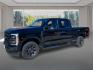 2023 BLACK FORD F250 SUPER DUTY (1FT7W2BT1PE) with an 6.7L engine, Automatic transmission, located at 908 SE 14th Street, Des Moines, IA, 50317, (515) 281-0330, 41.580303, -93.597046- Photo#7