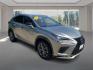 2020 SILVER LEXUS NX 300 F SPORT (JTJSARDZ8L2) with an 2.0L engine, Automatic transmission, located at 908 SE 14th Street, Des Moines, IA, 50317, (515) 281-0330, 41.580303, -93.597046- Photo#0