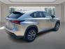 2020 SILVER LEXUS NX 300 F SPORT (JTJSARDZ8L2) with an 2.0L engine, Automatic transmission, located at 908 SE 14th Street, Des Moines, IA, 50317, (515) 281-0330, 41.580303, -93.597046- Photo#2