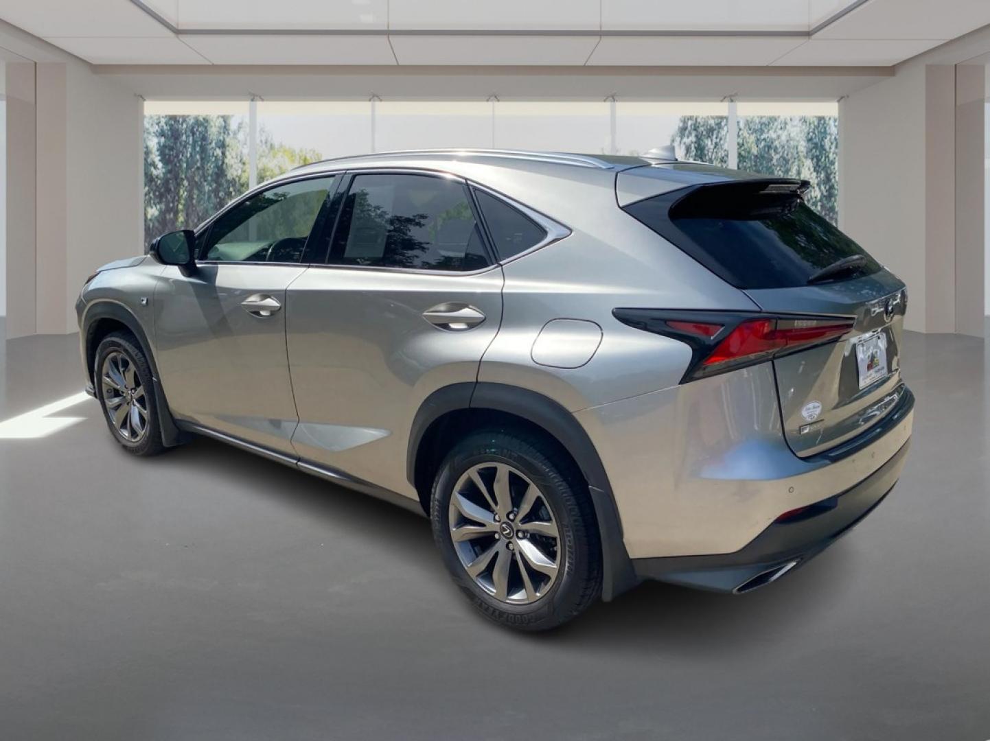 2020 SILVER LEXUS NX 300 F SPORT (JTJSARDZ8L2) with an 2.0L engine, Automatic transmission, located at 908 SE 14th Street, Des Moines, IA, 50317, (515) 281-0330, 41.580303, -93.597046- Photo#4