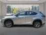 2020 SILVER LEXUS NX 300 F SPORT (JTJSARDZ8L2) with an 2.0L engine, Automatic transmission, located at 908 SE 14th Street, Des Moines, IA, 50317, (515) 281-0330, 41.580303, -93.597046- Photo#5