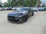 2019 BLACK FORD MUSTANG GT (1FA6P8CF6K5) with an 5.0L engine, Automatic transmission, located at 908 SE 14th Street, Des Moines, IA, 50317, (515) 281-0330, 41.580303, -93.597046 - Photo#0