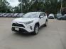 2020 WHITE TOYOTA RAV4 XLE (JTMR6RFV7LD) with an 2.5L engine, Continuously Variable transmission, located at 908 SE 14th Street, Des Moines, IA, 50317, (515) 281-0330, 41.580303, -93.597046 - Photo#0
