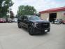 2022 BLACK GMC SIERRA 1500 ELEVATION (3GTUUCET8NG) with an 3.0L engine, Automatic transmission, located at 908 SE 14th Street, Des Moines, IA, 50317, (515) 281-0330, 41.580303, -93.597046 - Photo#2