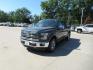 2015 BLUE FORD F150 SUPERCREW (1FTEW1EG6FF) with an 3.5L engine, Automatic transmission, located at 908 SE 14th Street, Des Moines, IA, 50317, (515) 281-0330, 41.580303, -93.597046 - Photo#0
