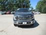 2015 BLUE FORD F150 SUPERCREW (1FTEW1EG6FF) with an 3.5L engine, Automatic transmission, located at 908 SE 14th Street, Des Moines, IA, 50317, (515) 281-0330, 41.580303, -93.597046 - Photo#1