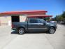 2015 BLUE FORD F150 SUPERCREW (1FTEW1EG6FF) with an 3.5L engine, Automatic transmission, located at 908 SE 14th Street, Des Moines, IA, 50317, (515) 281-0330, 41.580303, -93.597046 - Photo#3
