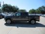 2015 BLUE FORD F150 SUPERCREW (1FTEW1EG6FF) with an 3.5L engine, Automatic transmission, located at 908 SE 14th Street, Des Moines, IA, 50317, (515) 281-0330, 41.580303, -93.597046 - Photo#7
