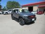 2011 SILVER TOYOTA FJ CRUISER (JTEBU4BF3BK) with an 4.0L engine, Automatic transmission, located at 908 SE 14th Street, Des Moines, IA, 50317, (515) 281-0330, 41.580303, -93.597046 - Photo#2
