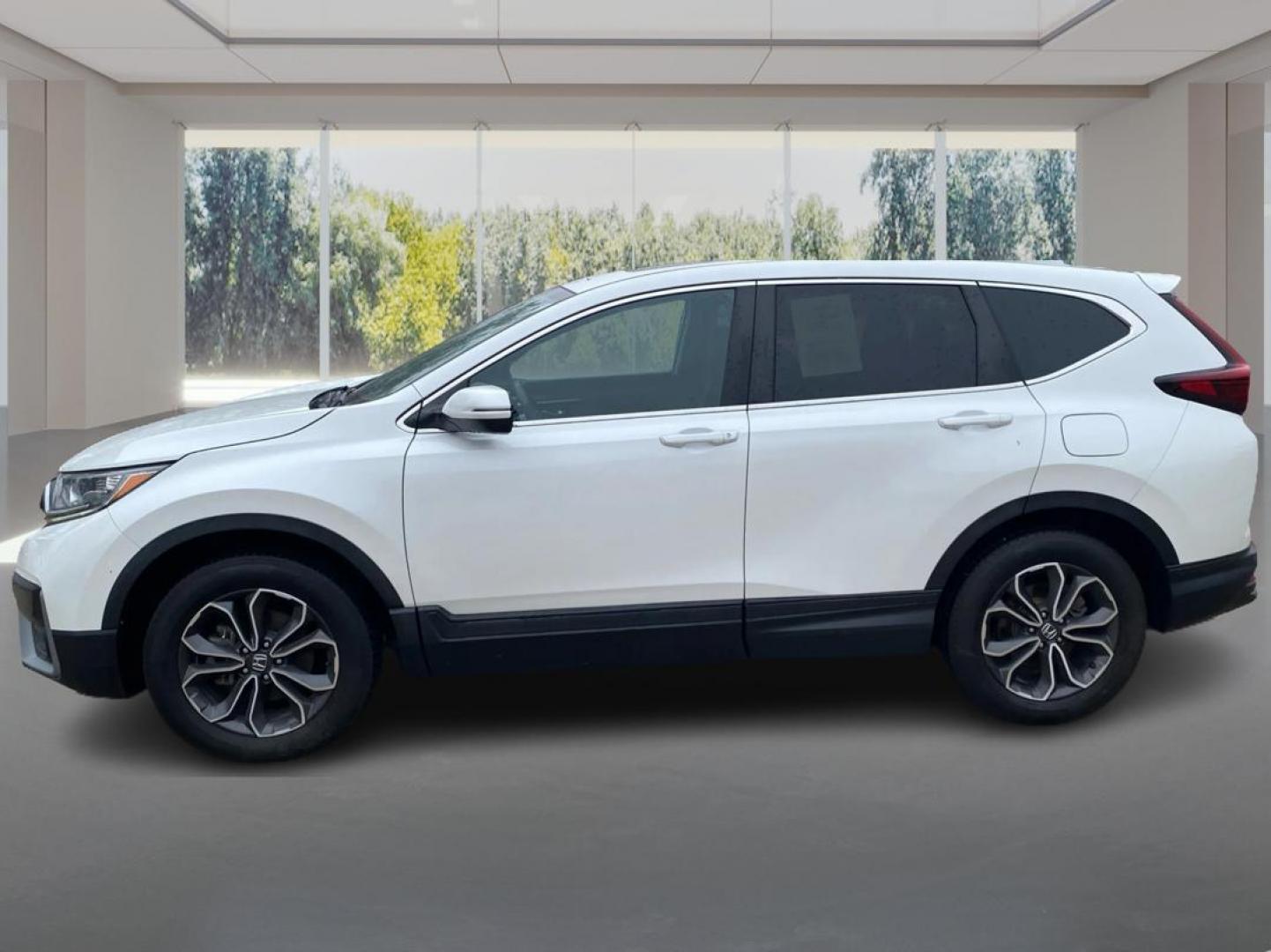 2020 WHITE HONDA CR-V EX (5J6RW2H55LL) with an 1.5L engine, Continuously Variable transmission, located at 908 SE 14th Street, Des Moines, IA, 50317, (515) 281-0330, 41.580303, -93.597046 - Photo#5