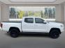 2021 WHITE TOYOTA TACOMA DOUBLE CAB (3TMCZ5AN6MM) with an 3.5L engine, Automatic transmission, located at 908 SE 14th Street, Des Moines, IA, 50317, (515) 281-0330, 41.580303, -93.597046 - Photo#1