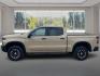 2022 TAN CHEVROLET SILVERADO 1500 ZR2 (3GCUDHEL4NG) with an 6.2L engine, Automatic transmission, located at 908 SE 14th Street, Des Moines, IA, 50317, (515) 281-0330, 41.580303, -93.597046 - Photo#5