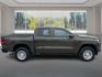 2024 BROWN CHEVROLET COLORADO (1GCGSBEC3R1) with an 2.7L engine, Automatic transmission, located at 908 SE 14th Street, Des Moines, IA, 50317, (515) 281-0330, 41.580303, -93.597046 - Photo#1