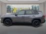 2022 GRAY TOYOTA RAV4 XSE (4T3E6RFV0NU) with an 2.5L engine, Continuously Variable transmission, located at 908 SE 14th Street, Des Moines, IA, 50317, (515) 281-0330, 41.580303, -93.597046 - Photo#5