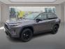 2022 GRAY TOYOTA RAV4 XSE (4T3E6RFV0NU) with an 2.5L engine, Continuously Variable transmission, located at 908 SE 14th Street, Des Moines, IA, 50317, (515) 281-0330, 41.580303, -93.597046 - Photo#7