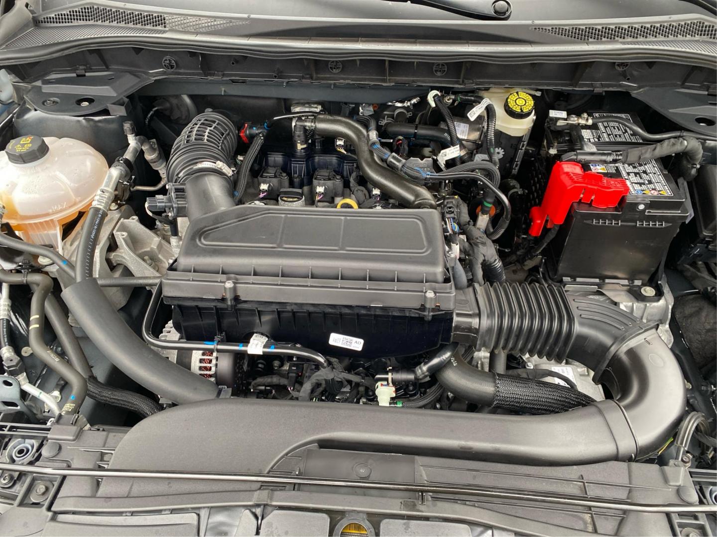 2025 BLACK FORD ESCAPE ST LINE (1FMCU0MNXSU) with an 1.5L engine, Automatic transmission, located at 908 SE 14th Street, Des Moines, IA, 50317, (515) 281-0330, 41.580303, -93.597046 - Photo#10