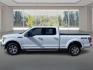 2017 WHITE FORD F-150 SUPERCREW XLT (1FTFW1EF7HK) with an 5.0 engine, Automatic transmission, located at 908 SE 14th Street, Des Moines, IA, 50317, (515) 281-0330, 41.580303, -93.597046- Photo#5