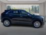 2023 BLACK CADILLAC XT4 LUXURY (1GYFZBR44PF) with an 2.0L engine, Automatic transmission, located at 908 SE 14th Street, Des Moines, IA, 50317, (515) 281-0330, 41.580303, -93.597046 - Photo#1