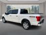 2019 WHITE FORD F150 SUPERCREW PLATINUM (1FTEW1E48KF) with an 3.5L engine, Automatic transmission, located at 908 SE 14th Street, Des Moines, IA, 50317, (515) 281-0330, 41.580303, -93.597046 - Photo#4