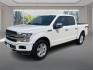 2019 WHITE FORD F150 SUPERCREW PLATINUM (1FTEW1E48KF) with an 3.5L engine, Automatic transmission, located at 908 SE 14th Street, Des Moines, IA, 50317, (515) 281-0330, 41.580303, -93.597046 - Photo#7