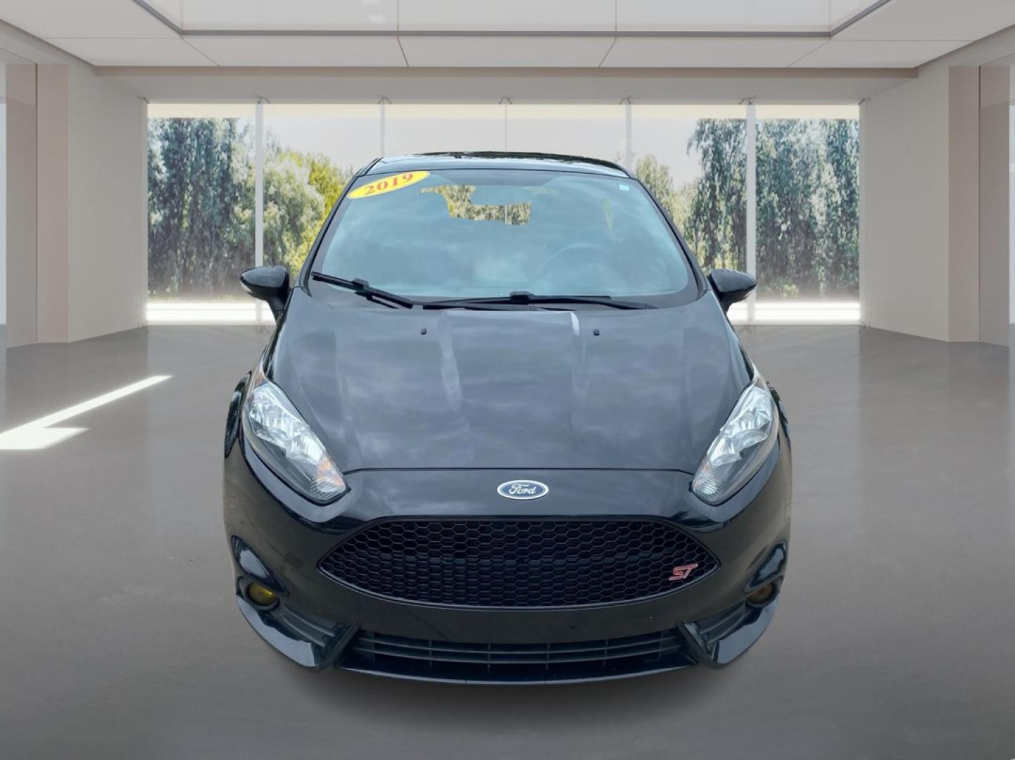 2019 BLACK FORD FIESTA ST (3FADP4GX4KM) with an 1.6L engine, 6-Speed Manual transmission, located at 908 SE 14th Street, Des Moines, IA, 50317, (515) 281-0330, 41.580303, -93.597046- Photo#6