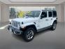 2020 WHITE JEEP WRANGLER UNLIMI SAHARA (1C4HJXEG0LW) with an 3.6L engine, Automatic transmission, located at 908 SE 14th Street, Des Moines, IA, 50317, (515) 281-0330, 41.580303, -93.597046- Photo#7