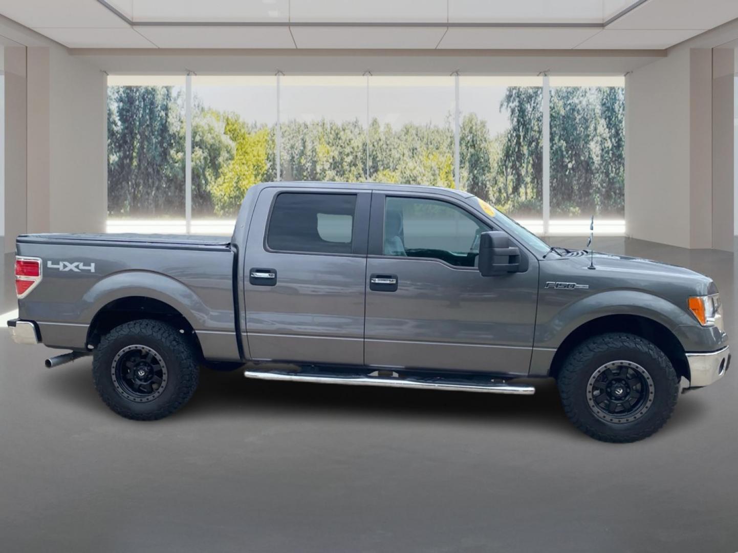 2014 GRAY FORD F150 SUPERCREW (1FTFW1EFXEK) with an 5.0L engine, Automatic transmission, located at 908 SE 14th Street, Des Moines, IA, 50317, (515) 281-0330, 41.580303, -93.597046- Photo#1