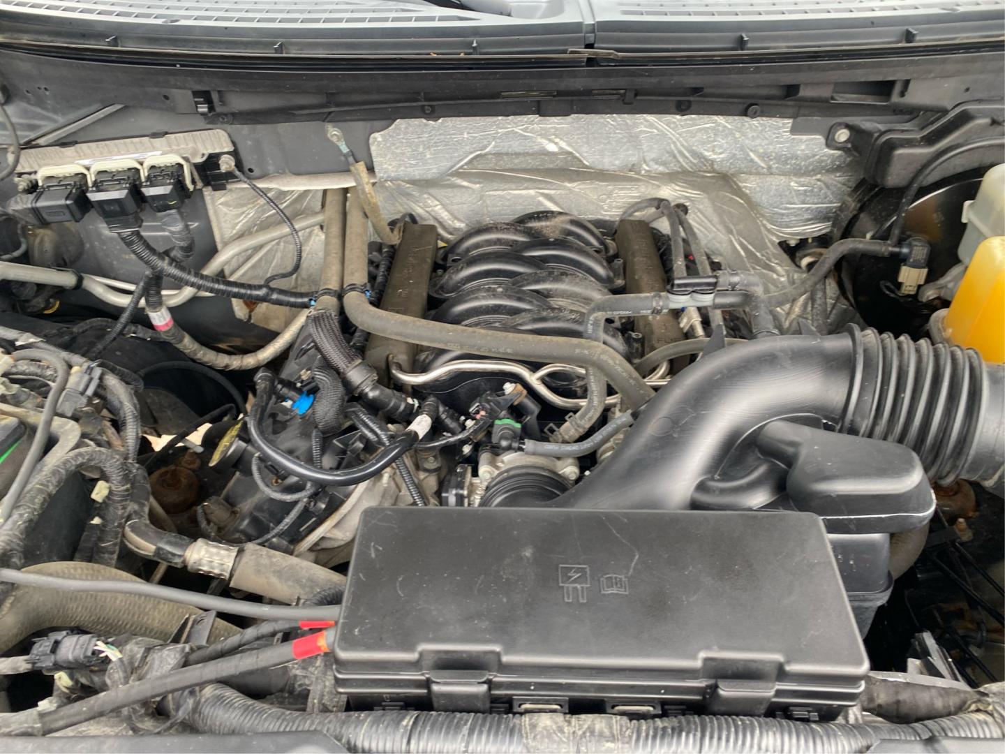 2014 GRAY FORD F150 SUPERCREW (1FTFW1EFXEK) with an 5.0L engine, Automatic transmission, located at 908 SE 14th Street, Des Moines, IA, 50317, (515) 281-0330, 41.580303, -93.597046- Photo#10