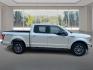 2019 SILVER FORD F150 SUPERCREW (1FTEW1E53KK) with an 5.0L engine, Automatic transmission, located at 908 SE 14th Street, Des Moines, IA, 50317, (515) 281-0330, 41.580303, -93.597046- Photo#1
