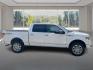 2014 WHITE FORD F150 SUPERCREW PLATINUM (1FTFW1EF7EF) with an 5.0L engine, Automatic transmission, located at 908 SE 14th Street, Des Moines, IA, 50317, (515) 281-0330, 41.580303, -93.597046- Photo#1