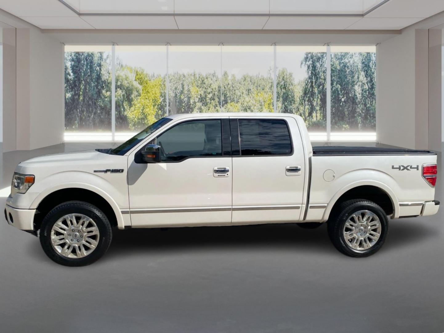 2014 WHITE FORD F150 SUPERCREW PLATINUM (1FTFW1EF7EF) with an 5.0L engine, Automatic transmission, located at 908 SE 14th Street, Des Moines, IA, 50317, (515) 281-0330, 41.580303, -93.597046- Photo#5