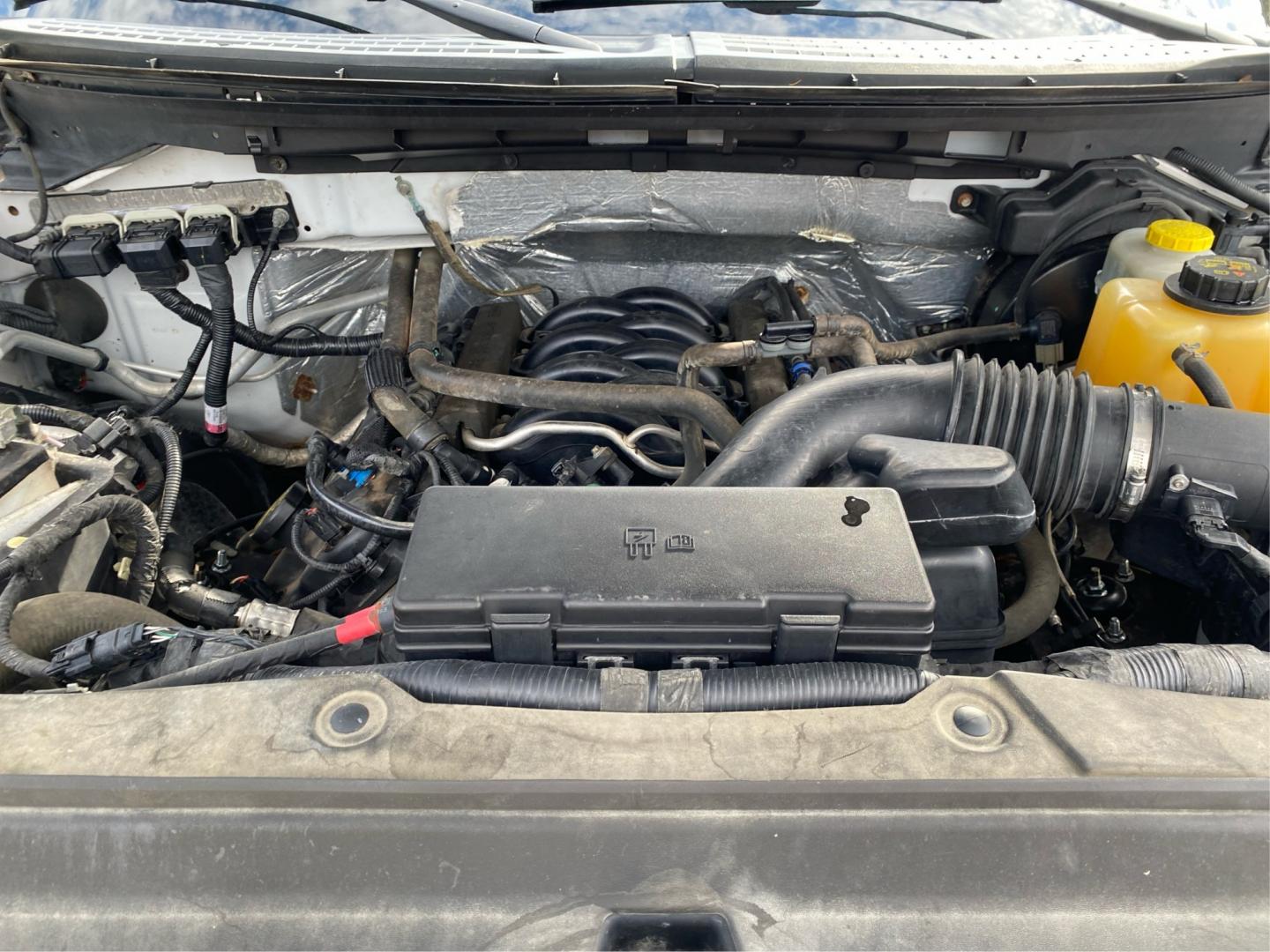 2014 WHITE FORD F150 SUPERCREW PLATINUM (1FTFW1EF7EF) with an 5.0L engine, Automatic transmission, located at 908 SE 14th Street, Des Moines, IA, 50317, (515) 281-0330, 41.580303, -93.597046- Photo#10
