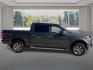 2019 GRAY FORD F150 SUPERCREW (1FTEW1EB0KK) with an 3.3L engine, Automatic transmission, located at 908 SE 14th Street, Des Moines, IA, 50317, (515) 281-0330, 41.580303, -93.597046- Photo#1