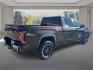 2024 BROWN TOYOTA TUNDRA CREWMAX LIMITED (5TFJA5EC7RX) with an 3.4L engine, Automatic transmission, located at 908 SE 14th Street, Des Moines, IA, 50317, (515) 281-0330, 41.580303, -93.597046- Photo#2