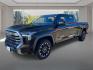 2024 BROWN TOYOTA TUNDRA CREWMAX LIMITED (5TFJA5EC7RX) with an 3.4L engine, Automatic transmission, located at 908 SE 14th Street, Des Moines, IA, 50317, (515) 281-0330, 41.580303, -93.597046- Photo#7